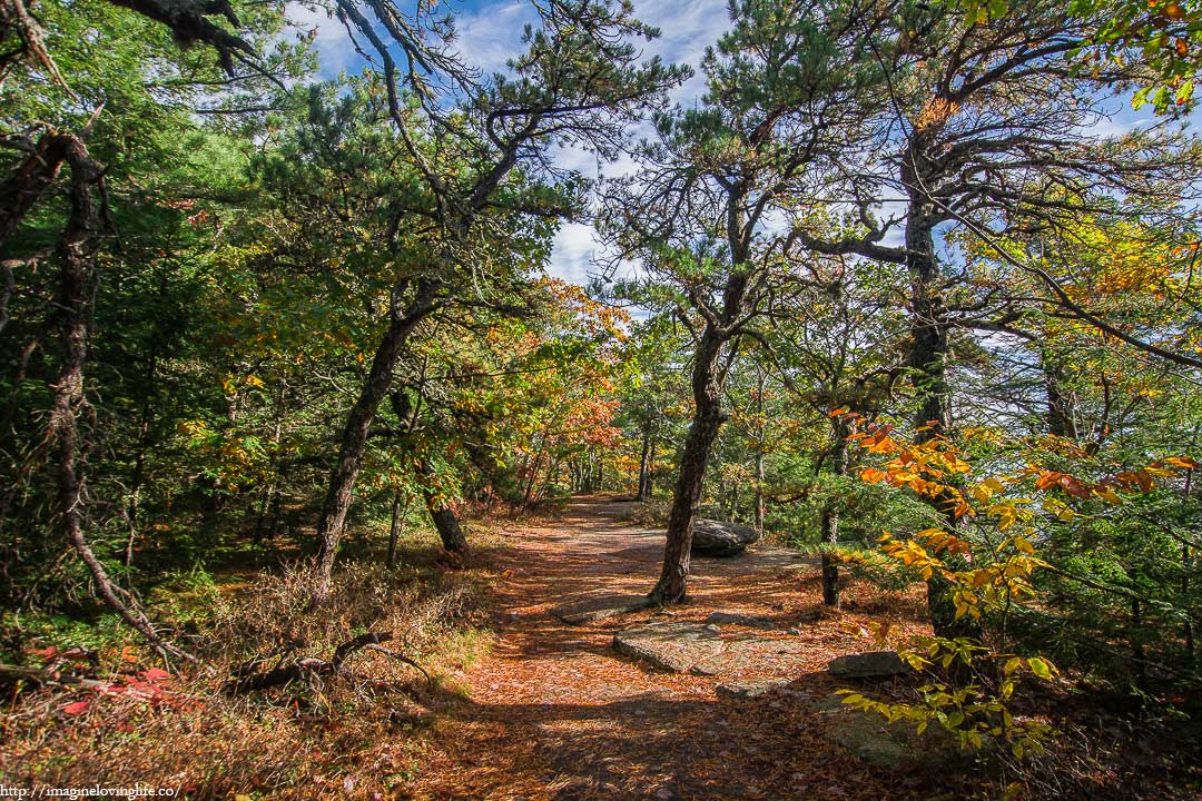 catskills escarpment trail